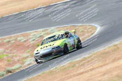 media/May-06-2023-Lucky Dog Racing (Sat) [[8f2256f436]]/Turn 2 10a/